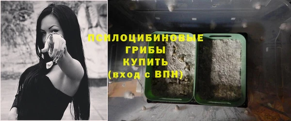 спайс Аркадак