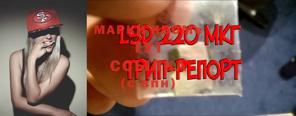 мдпв Балабаново