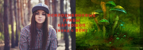 спайс Аркадак