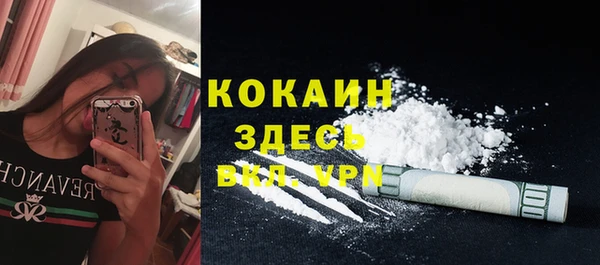 ешки Арсеньев