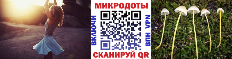 Псилоцибиновые грибы Psilocybine cubensis  продажа наркотиков  Пласт 